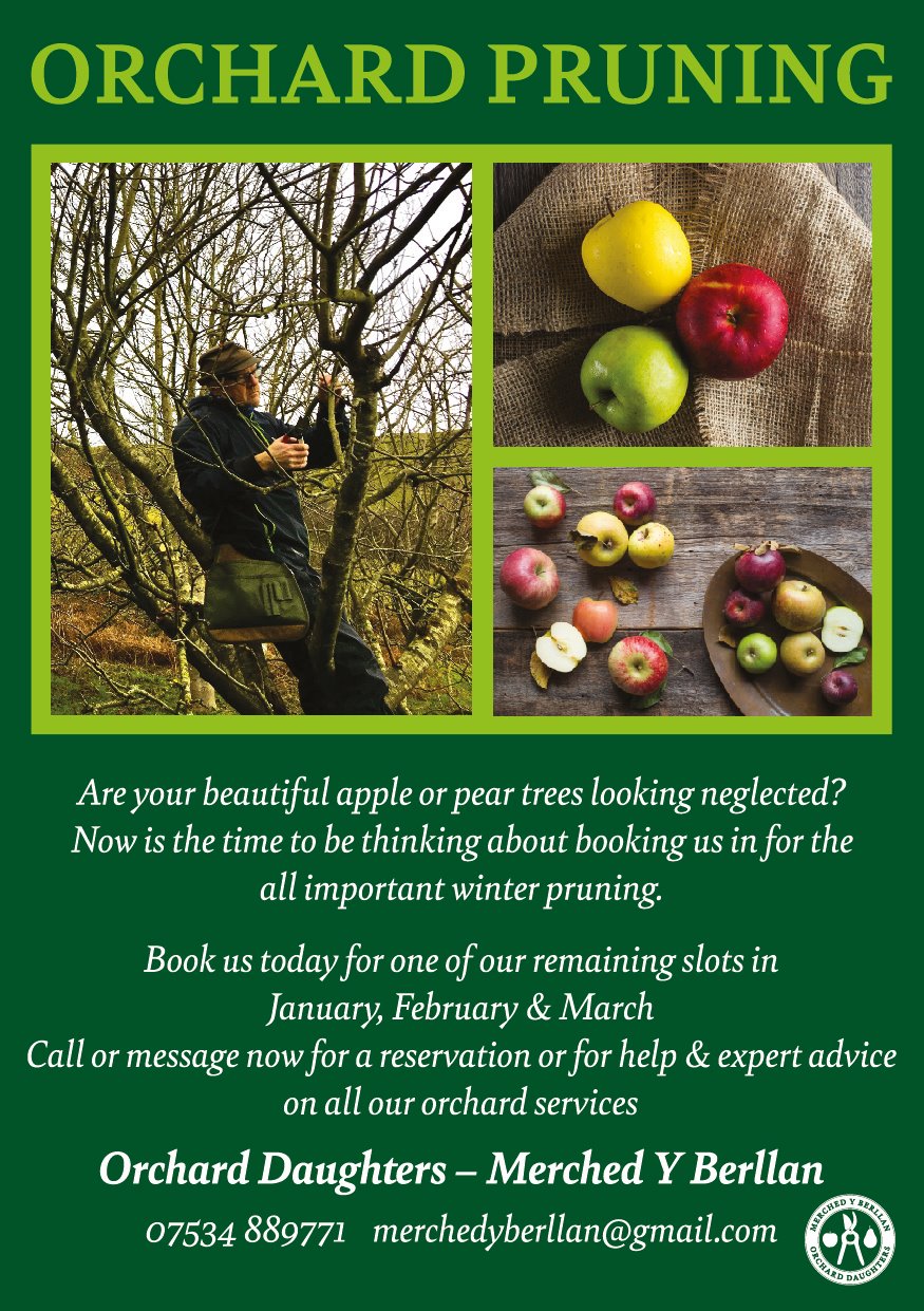 Services Orchard Daughters / Merched Y Berllan